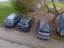 Попитаха собственици на коли дали не са роднини на Бай Ганьо