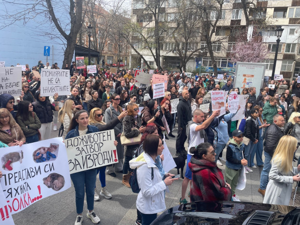 Днес фондация Правата на животните организира протестно шествие в Пловдив