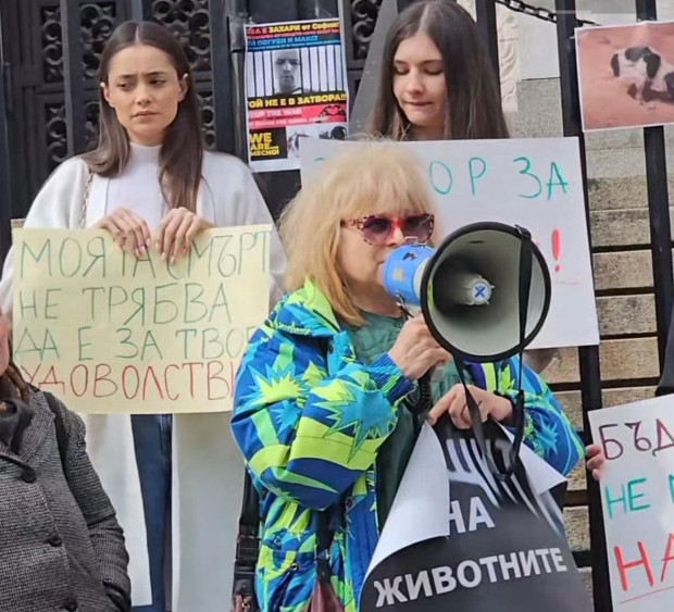 София отново казва НЕ на насилието над животни Пред Съдебната