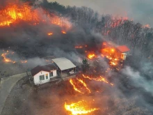 Четирима загинали и 11 ранени при "неконтролируеми" горски пожари в Южна Корея