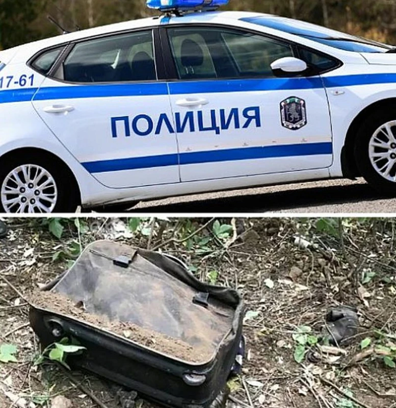 След като уби майка си и я държа в куфар, младеж получи 8 години затвор