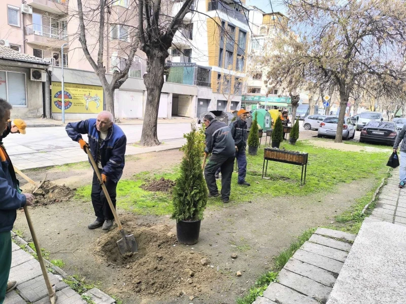 Напълно преобразиха междублоково пространство, превърнато в бунище