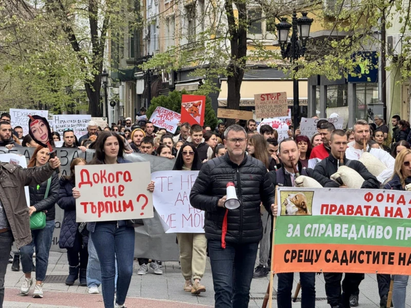 Стотици пловдивчани на протестно шествие, казаха "Не" на насилието