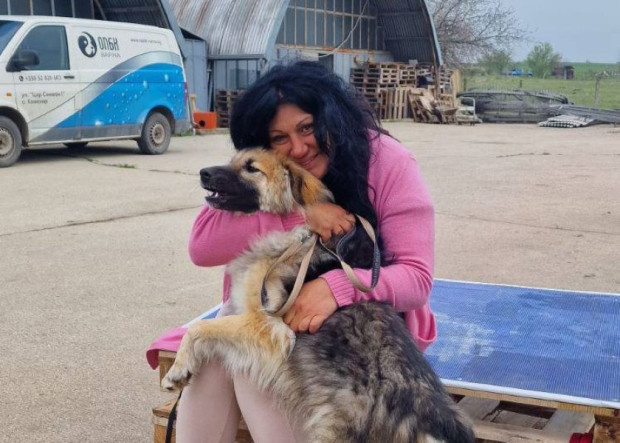 Добри новини от приюта в Каменар