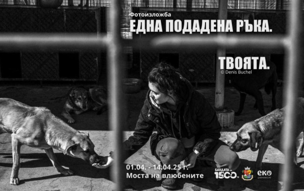Фотоизложба провокира столичани да осиновят домашен любимец