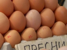 БАБХ със засилени проверки за Великден