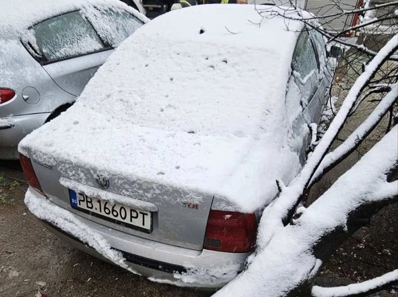Снегът създаде проблеми в Пловдив