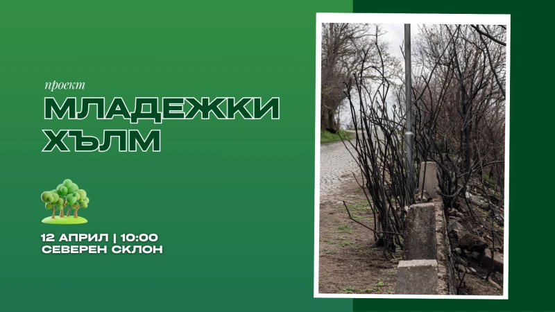Доброволческа акция по залесяване на Младежкия хълм