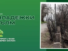 Доброволческа акция по залесяване на Младежкия хълм в Пловдив