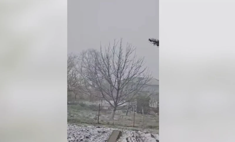���� � ����������� �� ���� ����� � ��������!