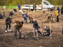 Стотици доброволци засадиха над 1200 фиданки в първия ден от залесяването на Новата гора на София край Бусманци