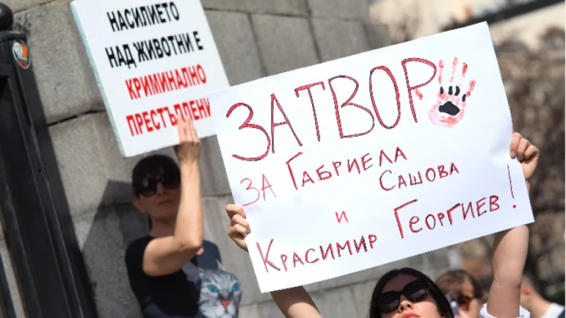 Протест срещу насилието над животните пред НС