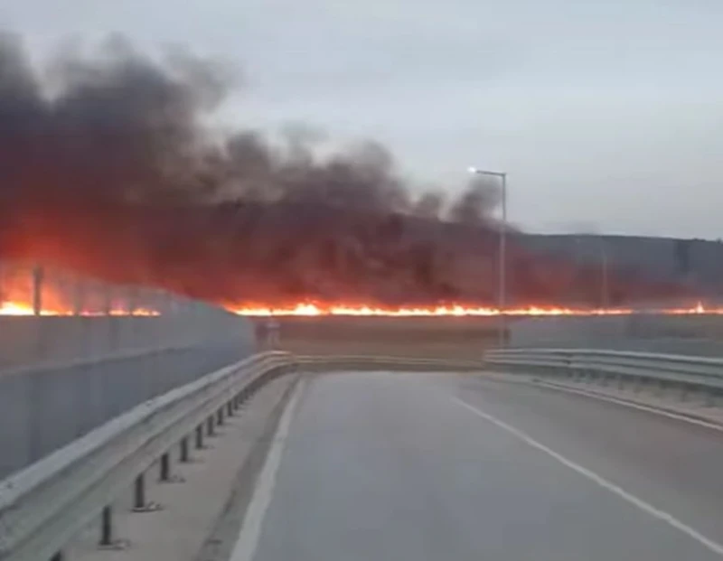 Потушен е големият пожар, избухнал в Алдомировското блато