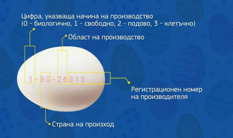 ЕС обясни значението на цифрите и буквите на яйцата, които купувате