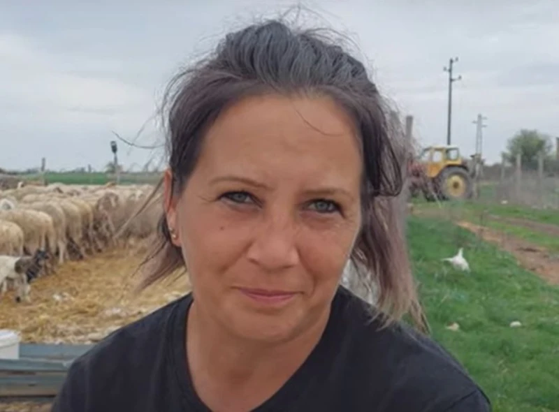 Овцевъдка от пловдивско село: Това, че имам 200 овце, ме прави богата пред държавата и не получавам детски