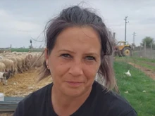 Овцевъдка от пловдивско село: Това, че имам 200 овце, ме прави богата пред държавата и не получавам детски