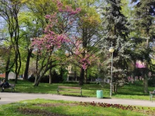 Летни температури днес 
