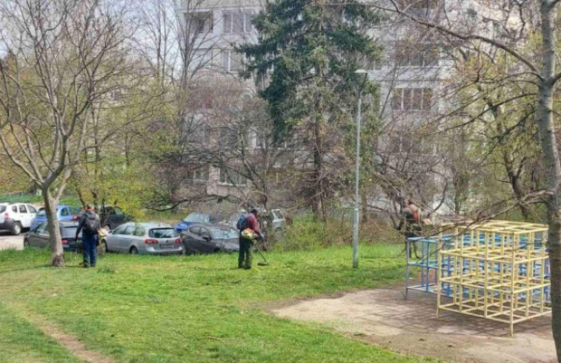 Делян Георгиев: Първото косене на тревните площи в столичния район "Изгрев" е към своя край