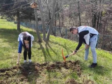 Ученици от Мадан засадиха дръвчета в Деня на земята