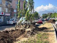 Кметът на столичния район 