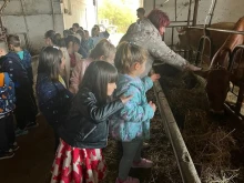 Деца от Смолян по пътя на млякото в Научния център по животновъдство и земеделие