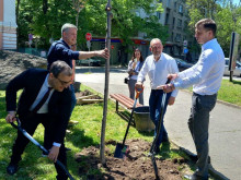 Зам.-кметове засадиха японски вишни в "Зелената алея на бъдещето" в Стара Загора