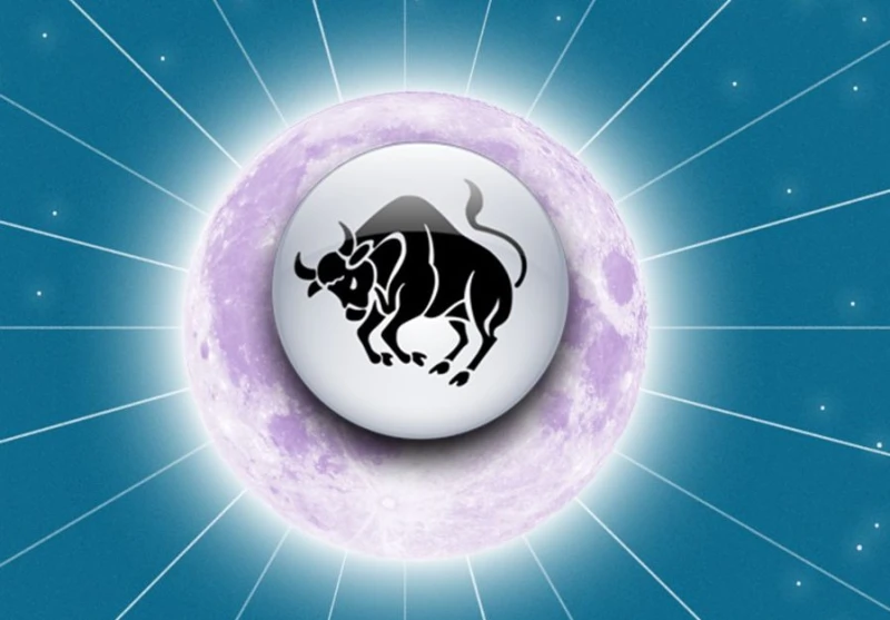 ���� ����� ����� ���������, ����� �� ��������