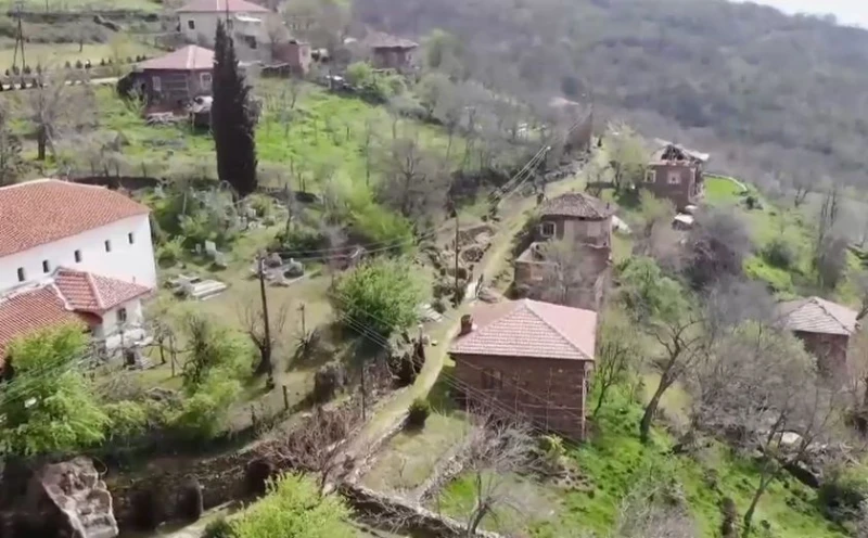 ��������� ���� ������ ������� �����