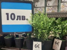 Стоки и услуги, които не подлежат на двойно обозначение на цените