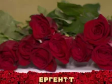 Още незавършил започва новият кастинг за "Ергенът"