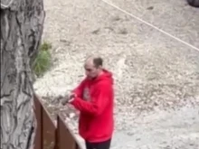 Мъж насочи огнестрелно оръжие срещу съсед в София