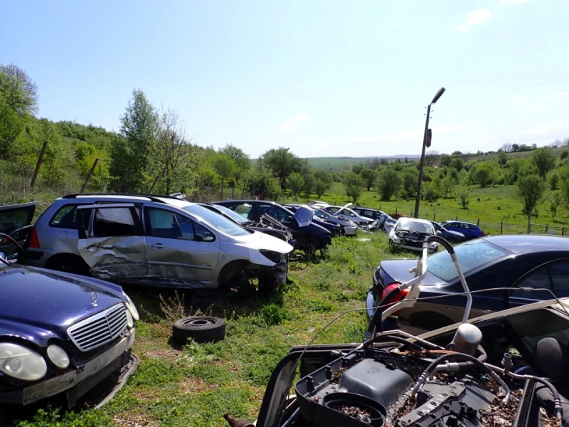 Мащабни полицейски проверки на автокъщи и сервизи за коли в Разградско