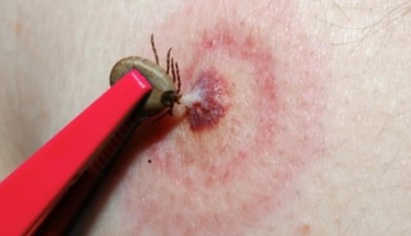 � ������ ������ ������������ ����� ������ �� ������� ������