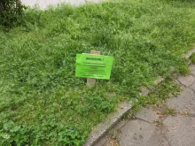 Благоевградчани, стойте далеч от тревните площи с тези табели
