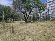 Започна косенето в части от район "Младост" във Варна, жителите са доволни