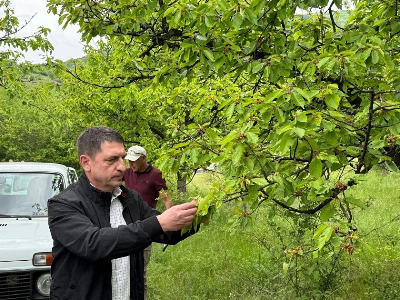 Депутатът Христо Терзийски: Приоритет е подкрепата за овощарите