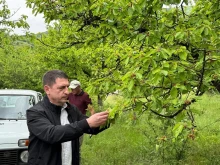 Депутатът Христо Терзийски: Приоритет е подкрепата за овощарите