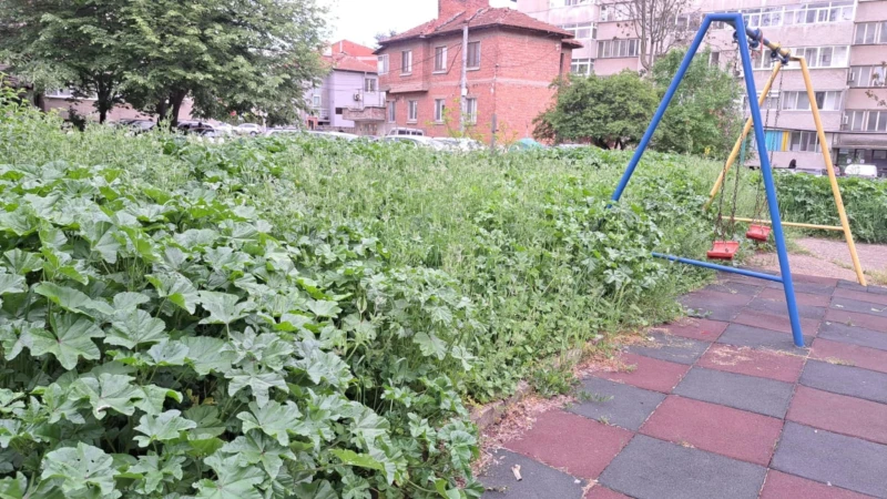 Джунгла в центъра на Ямбол! Рай за кърлежите