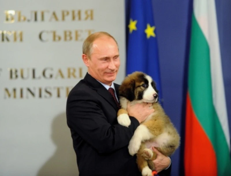 Путин обвини България за войната в Украйна