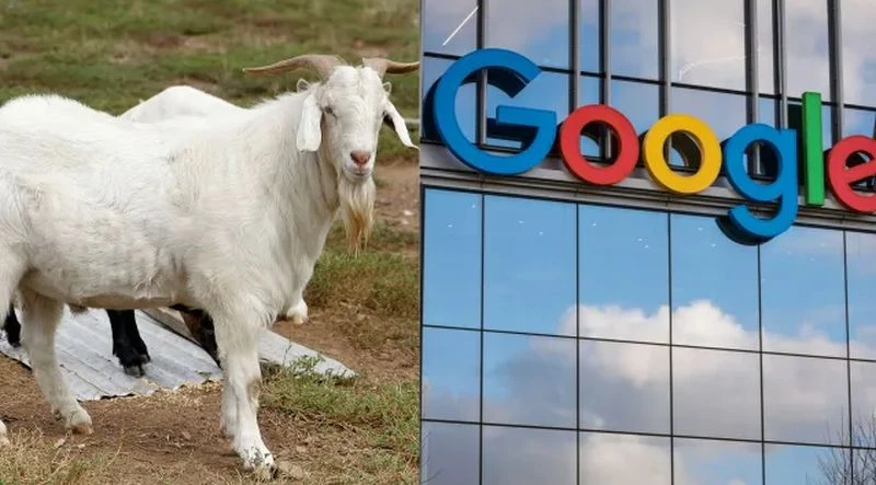 200 ���� ������� �� Google