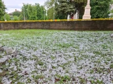 Градушка удари Плевенско