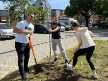 Засадиха 27 дръвчета в Деня на Европа