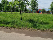 Контрера: Положението с косенето на тревата в някои райони на София е отчайващо