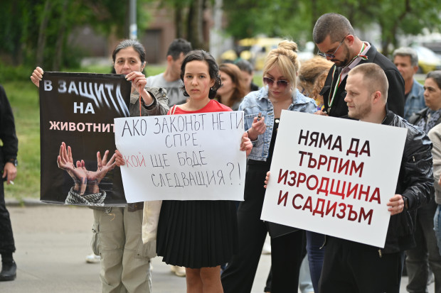 Защитници на животните с пореден протест в София