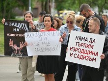 Защитници на животните с пореден протест в София