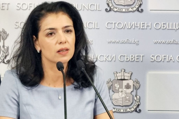 Ваня Григорова: Политически и конституционни лицемери