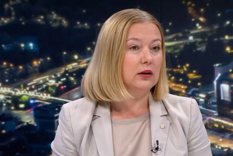 Надежда Йорданова: Предложението на президента е егоистично политическо действие, насочено против националния интерес