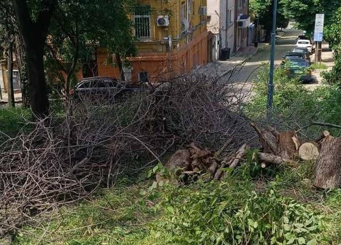 Започна почистване на Сахат тепе