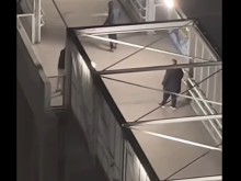 Видео с насилие върху животно потресе Варна