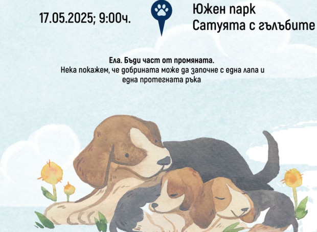 Ученици от София организират благотворително бягане в подкрепа на приют за бездомни кучета
